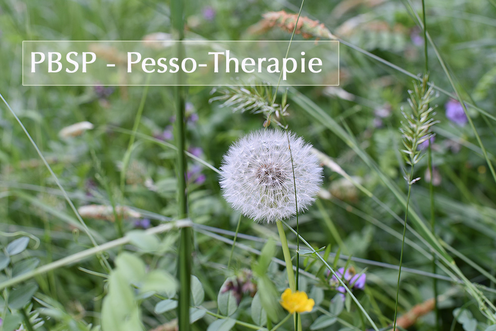 Pesso Therapie