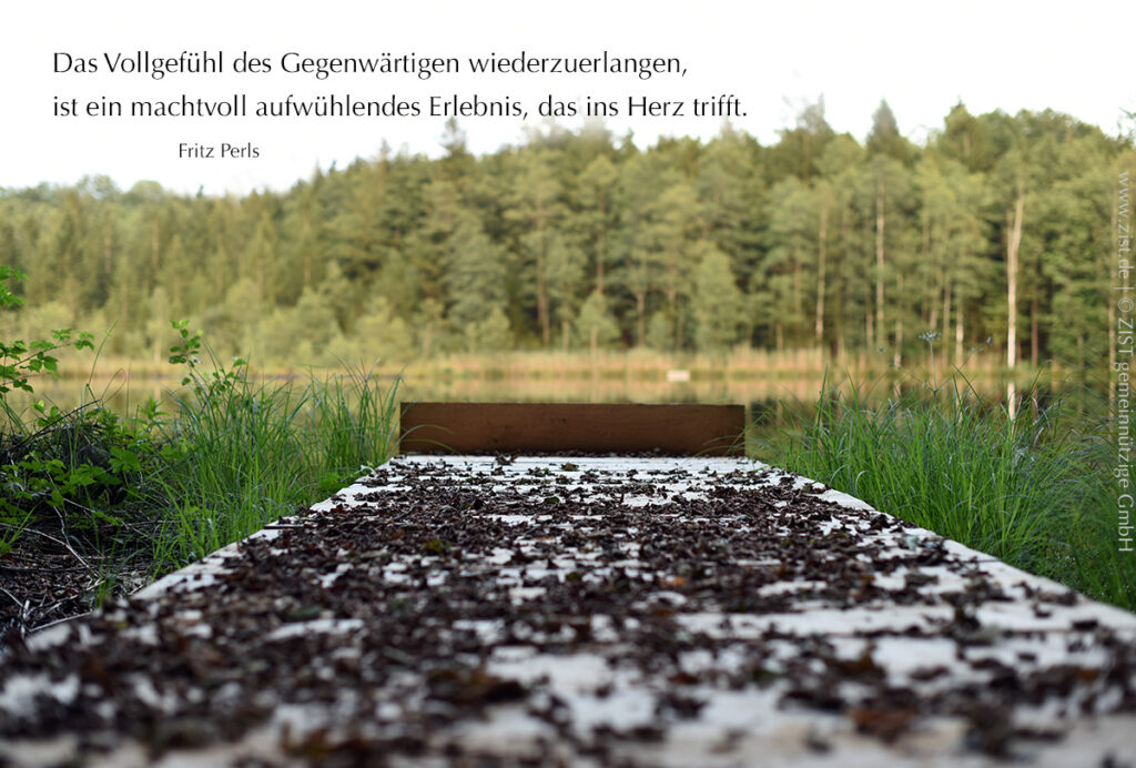 Foto eines Holzsteges aus der Sicht in Bodennähe, der Steg ist mit braunen Blättern übersäät und von Gräsern umrandet und gibt den Blick frei auf den See dahinter, grünes Wasser umgeben von Nadelbäumen, ein Waldsee. Links oben auf dem Bild steht ein Zitat in dunkler Schrift von Fritz Perl.