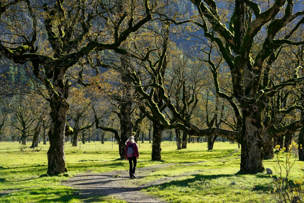 Eine Frau, die einen Pfad in einem Wald entlanggeht. Das Bild steht symbolisch für den "The Power of a Walk" Artikel